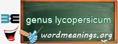 WordMeaning blackboard for genus lycopersicum